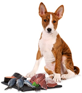 Spurenelemente im Hundefutter