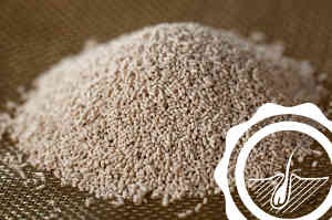 Biotin im Hundefutter
