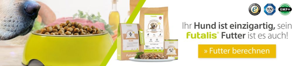 Maßgeschneidertes Hundefutter für jeden Tag