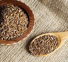 Antioxidantien im Hundefutter