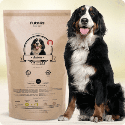 Berner Sennehund