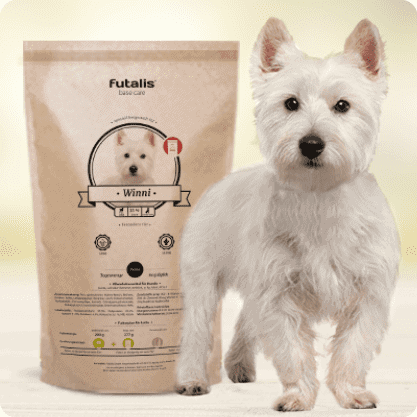 West Highland Terrier
