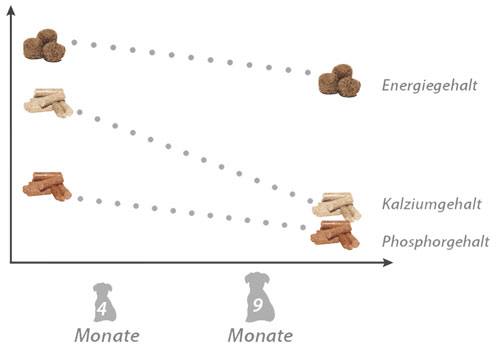 Welpenfutter-Mineralstoffe-Diagramm