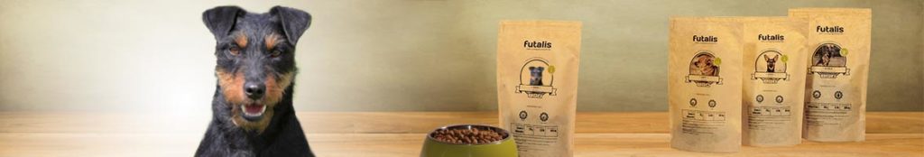 Jagdterrier Futter