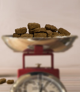 Hundefutter auf Waage
