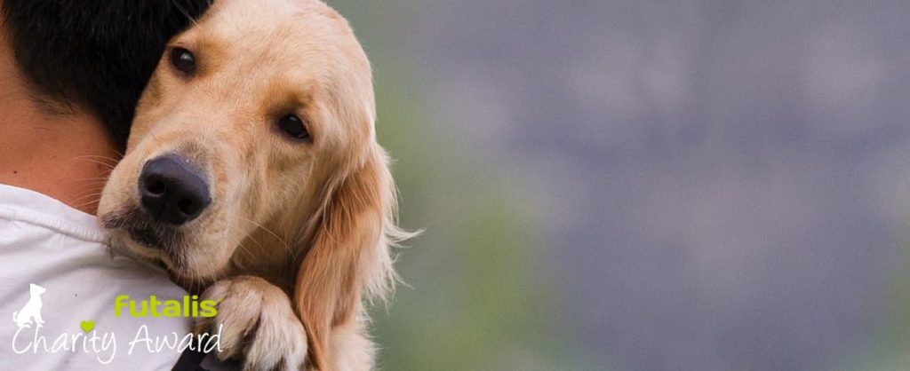 futalis Charity Award. Hunde als Helfer