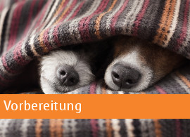 Vorbereitung auf einen Welpen