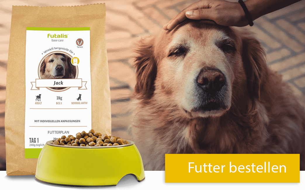 Futter für Ihren Seniorhund